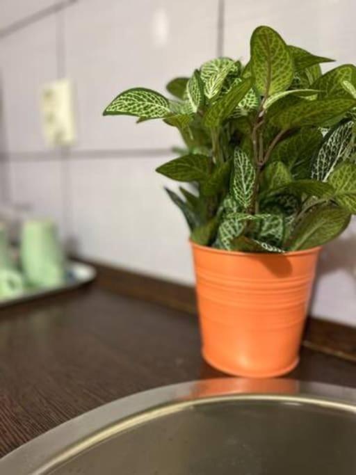 A13 Parliament Sunflower Cozy Apartment Βουδαπέστη Εξωτερικό φωτογραφία
