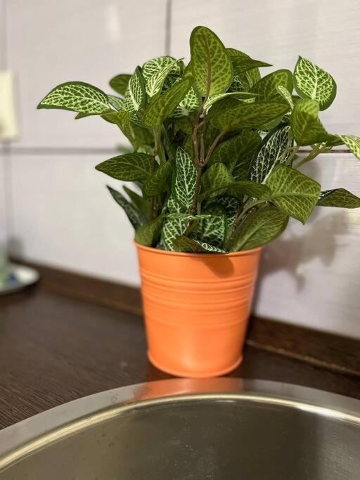 A13 Parliament Sunflower Cozy Apartment Βουδαπέστη Εξωτερικό φωτογραφία